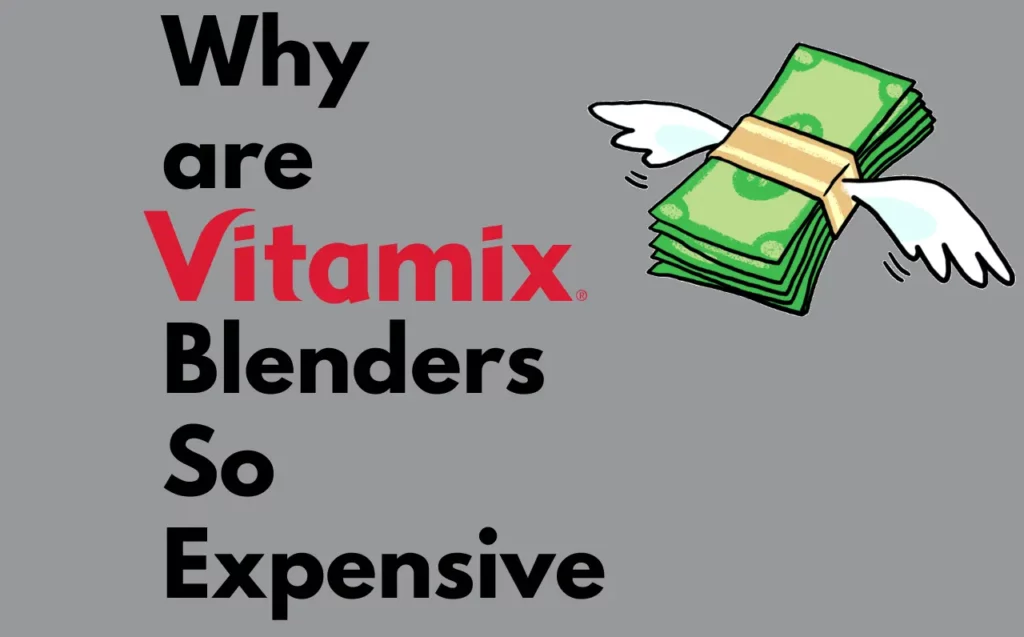 Why-are-Vitamix-Blenders-So-Expensive